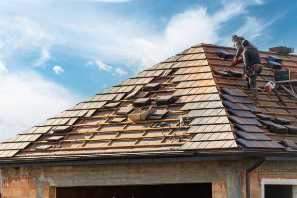 Best Roof Moss and Algae Removal  in Marshville, NC